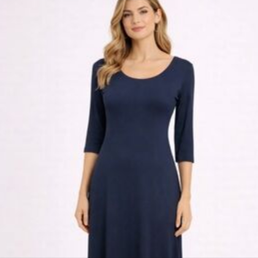 Eileen Fisher Blue ¾ Sleeve Dress Size Small Petite